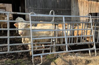 Exkurze po farmách